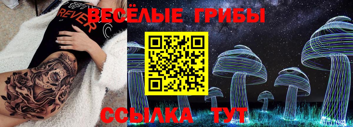 Псилоцибиновые грибы прущие грибы Нижневартовск